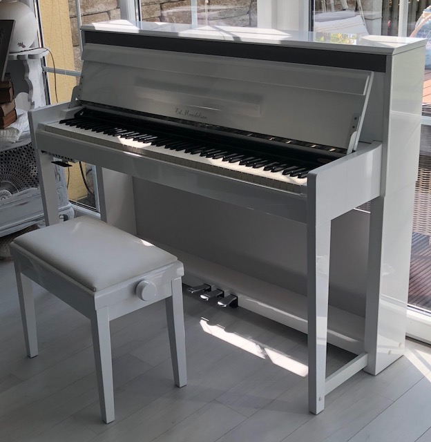 0 Flugel Klaviere Pianos Digital Pianos Steinway Sons Bechstein Bosendorfer Fazioli Bluthner Uva Ankauf Verkauf