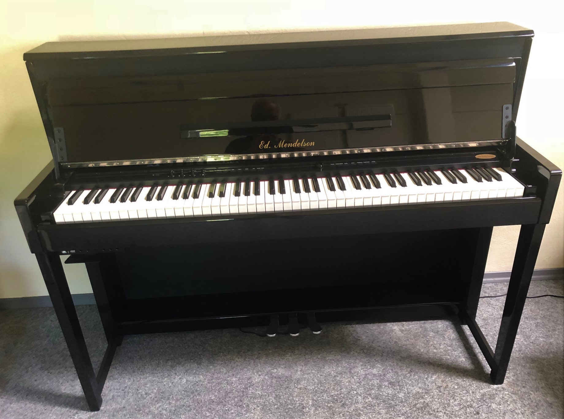 0 Flugel Klaviere Pianos Digital Pianos Steinway Sons Bechstein Bosendorfer Fazioli Bluthner Uva Ankauf Verkauf